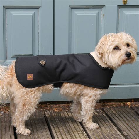 Waterproof Winter Dog Coat By Country And Twee | notonthehighstreet.com