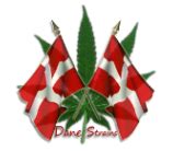 Gum Lock (Dane Strains) :: Cannabis Strain Info