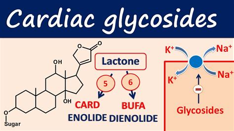 Cardiac Glycosides: What Are They, What Are They Used For,, 51% OFF