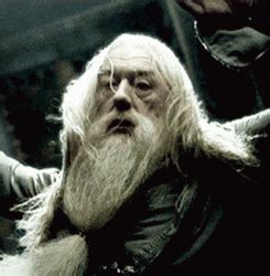 Albus Dumbledore Let's Go GIF | GIFDB.com