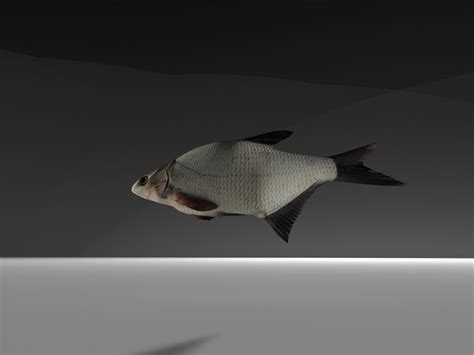 3d bream gamedev