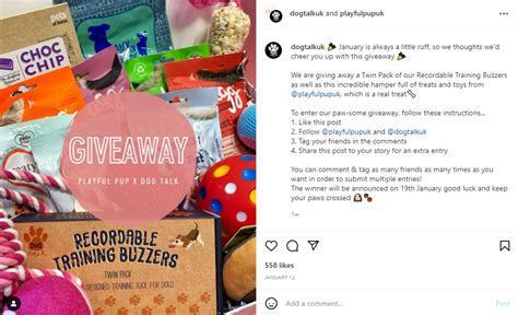 18 Best Instagram Giveaway Ideas in 2024 [+ Examples] - Social Pros