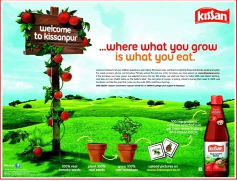 Kissan Ketchup Ad | Tomato seeds, Seeds, Tomato