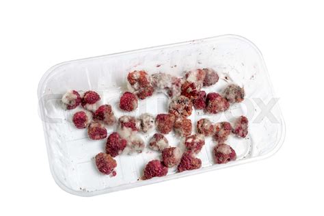 Close-up ripe red rotten raspberry with white grey mold on it. Spoiled berry in plastic box ...