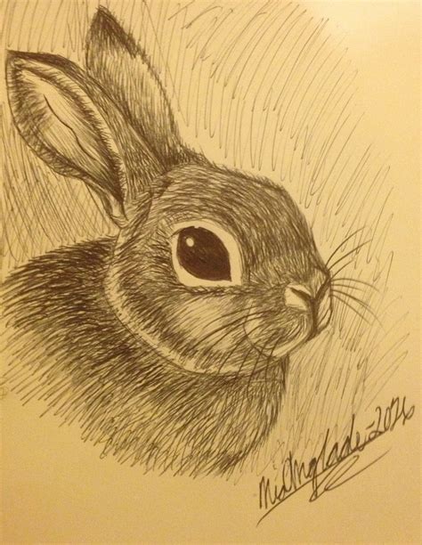 A realistic drawing of a rabbit. #realism #artist #traditionalart #art #creativeniaarts #animals ...