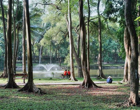 Chùm ảnh: Khám phá Vườn Bách Thảo - công viên lâu đời nhất Hà Nội - Redsvn.net