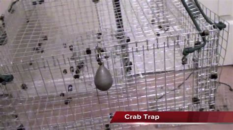 Handmade Fishing traps, crab traps - YouTube