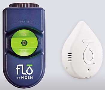 FloLogic Vs. Flo by Moen Smart Home Water Monitoring