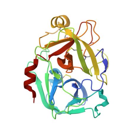 RCSB PDB - 3W94: Structure of Oryzias latipes enteropeptidase light chain