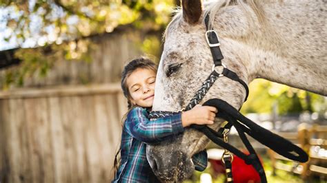 Healing Through Horses | Equine Assisted Therapy