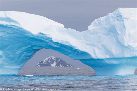 Cierva Cove Photos | Cove, Photo, Antarctica