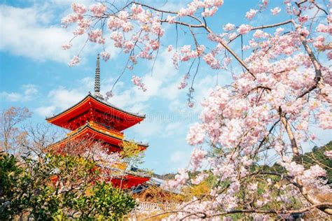 Kiyomizu-dera Temple with Cherry Blossoms in Kyoto, Japan Stock Image ...