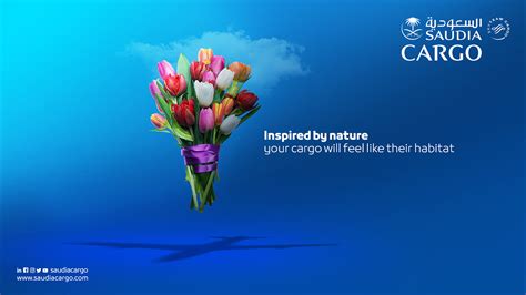 Saudia Cargo Airline on Behance