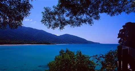 daintree-rainforest - Great Barrier Reef Tours Port Douglas