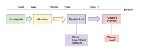 Homeostasis vs Allostasis — Urban Health Council