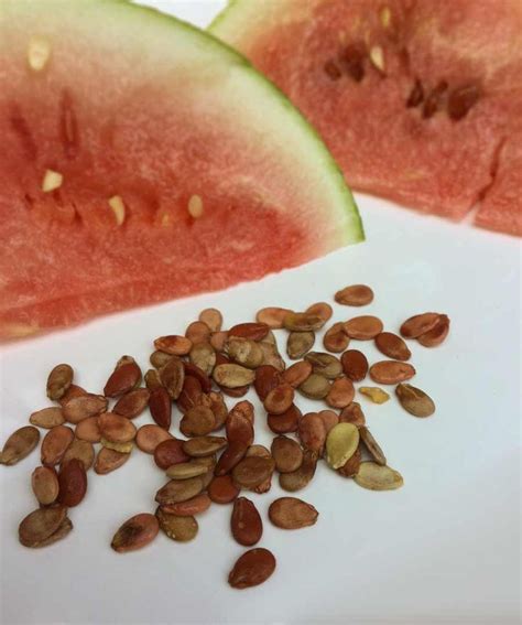 Can you eat watermelon seeds? | Recipe | Roasted watermelon seeds ...