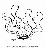 Seaweed Coloring Pages At GetColoringscom  Free Printable Colorings sketch template