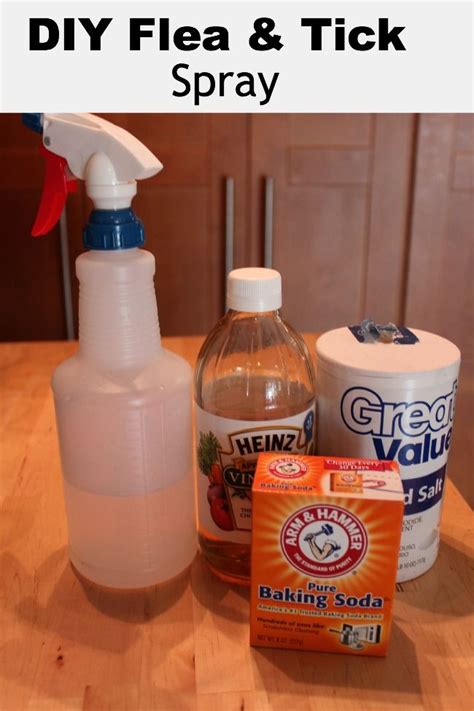 Homemade Flea & Tick Spray for Pets - Debt Free Spending | Flea spray for dogs, Flea and tick ...