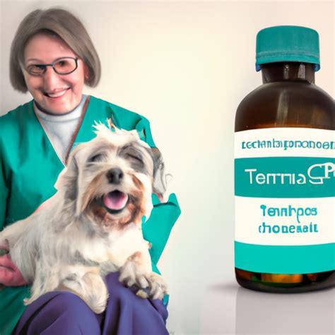 What is Terramycin Used For in Dogs? - One Top Dog