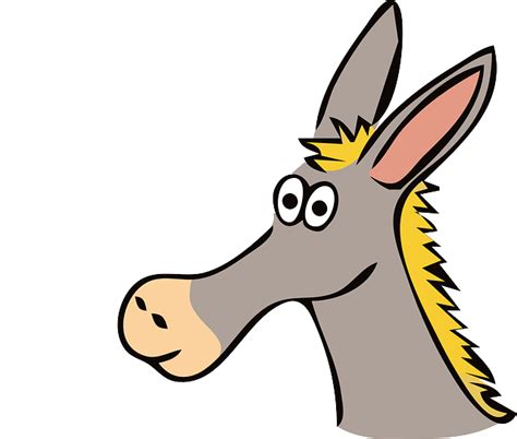 Donkey Facts for Kids in 2025 (Fun & Interesting)