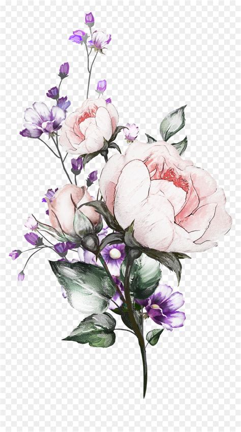 Aesthetic Flower Drawing No Background - IMAGESEE