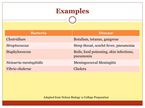 PPT - Infectious Diseases PowerPoint Presentation, free download - ID ...