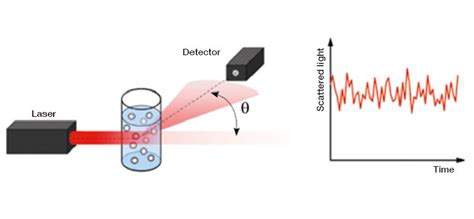 The principles of dynamic light scattering | Anton Paar Wiki