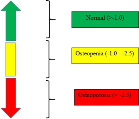 DEXA Scan result interpretation | Download Scientific Diagram