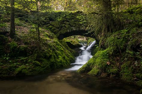 black forest germany black forest germany stage creek river bridge forest HD wallpaper