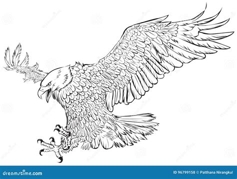 American Eagle Clipart Black And White