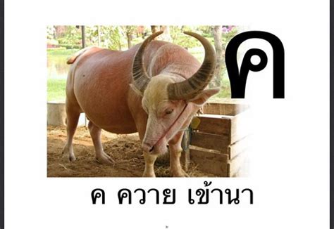 ค ควาย เข้านา | สนับสนุนคนไทยให้รักการอ่าน Page Title: แบบฝึ… | Flickr