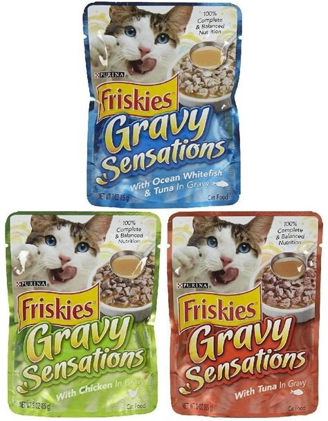 Friskies Gravy Sensations Variety Pack Pouched Cat Food 12 - 3oz ...