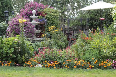 My courtyard | Plants, Flower garden, My flower