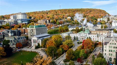 McGill University Acceptance Rate - Overview - NENODY