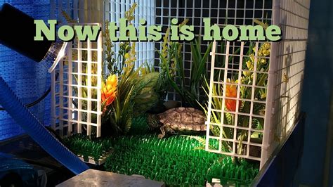 DIY basking area for Red Eared slider. - YouTube