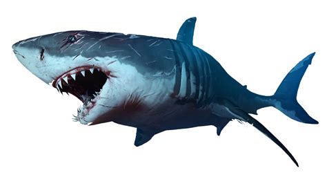 Shark Jaws Clip art - sharks png download - 1920*1080 - Free Transparent Shark Jaws png Download ...