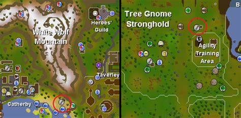 OSRS Efficient Farming Guide 1-99