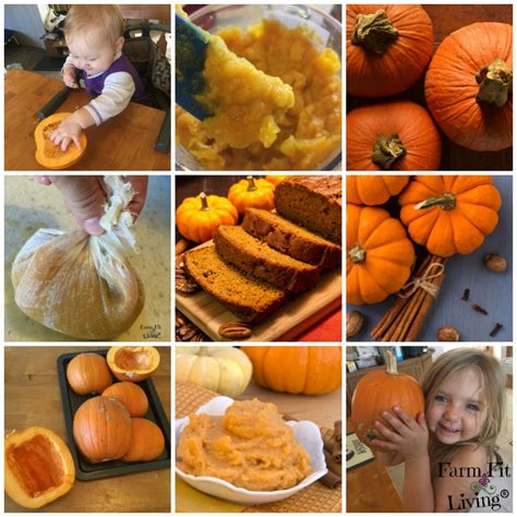 Healthy Pumpkin Bread Recipe with Homemade Pumpkin Puree