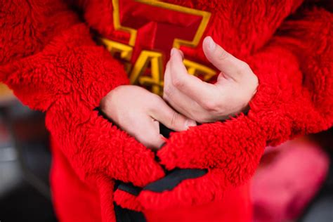 Cy the mascot, ‘D1 Half-lete’ – Iowa State Daily