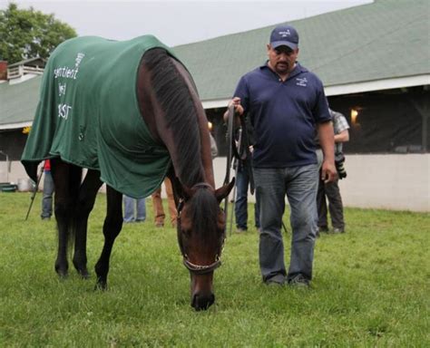 Kentucky Derby champ Nyquist arrives at Pimlico | Arab News