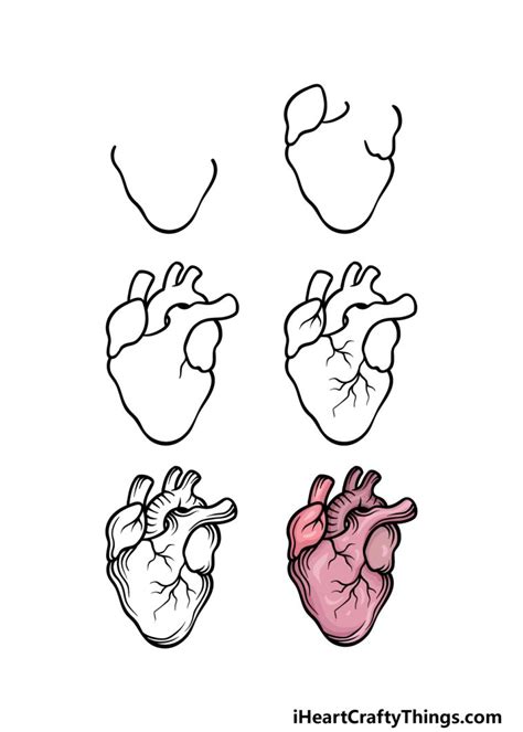 Realistic Heart Drawing - How To Draw A Realistic Heart Step By Step