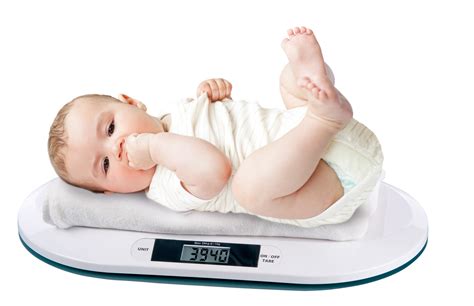 Digital Electronic Weighing Scale Baby Infant Pet Bathroom 20kgs/44Lbs - 10G NEW | eBay