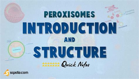 Peroxisomes | Introduction and Structure | Synthesis