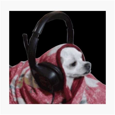 "Headphone dog meme" Photographic Print for Sale by los-memes | Redbubble