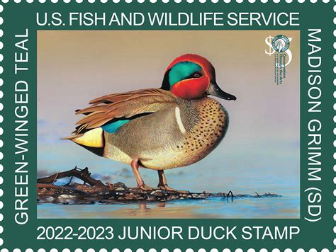 2023 jr duck stamp - Fort Scott National Historic Site (U.S. National Park Service)