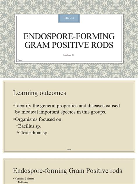 22 Endospore-Forming Gram Positive Rods | PDF | Anthrax | Bacillus