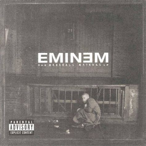 Eminem the eminem show vinyl - evilxaser