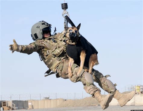 Military Working Dog Goes Airborne During Training Exercise (PHOTO)