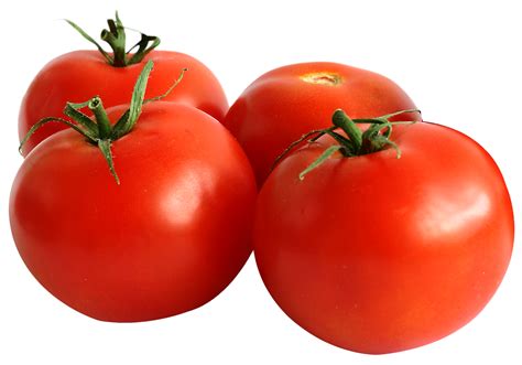 Tomato PNG Image - PurePNG | Free transparent CC0 PNG Image Library