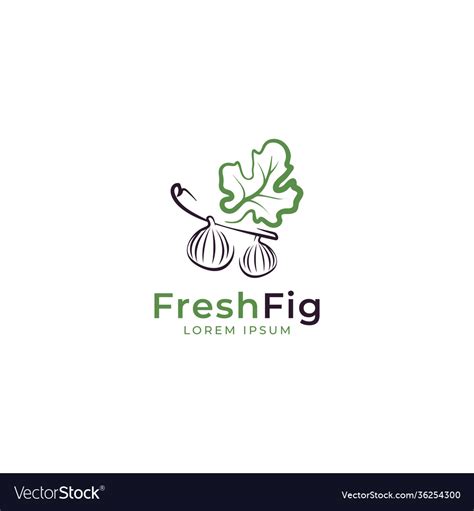 Fig with leaf logo design template Royalty Free Vector Image